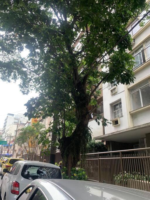 D Leblon Com Elegancia E Conforto Apartamento
