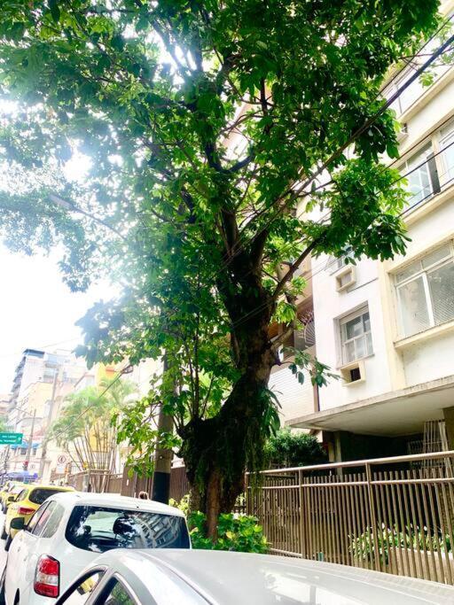 D Leblon Com Elegancia E Conforto Apartamento Rio de Janeiro